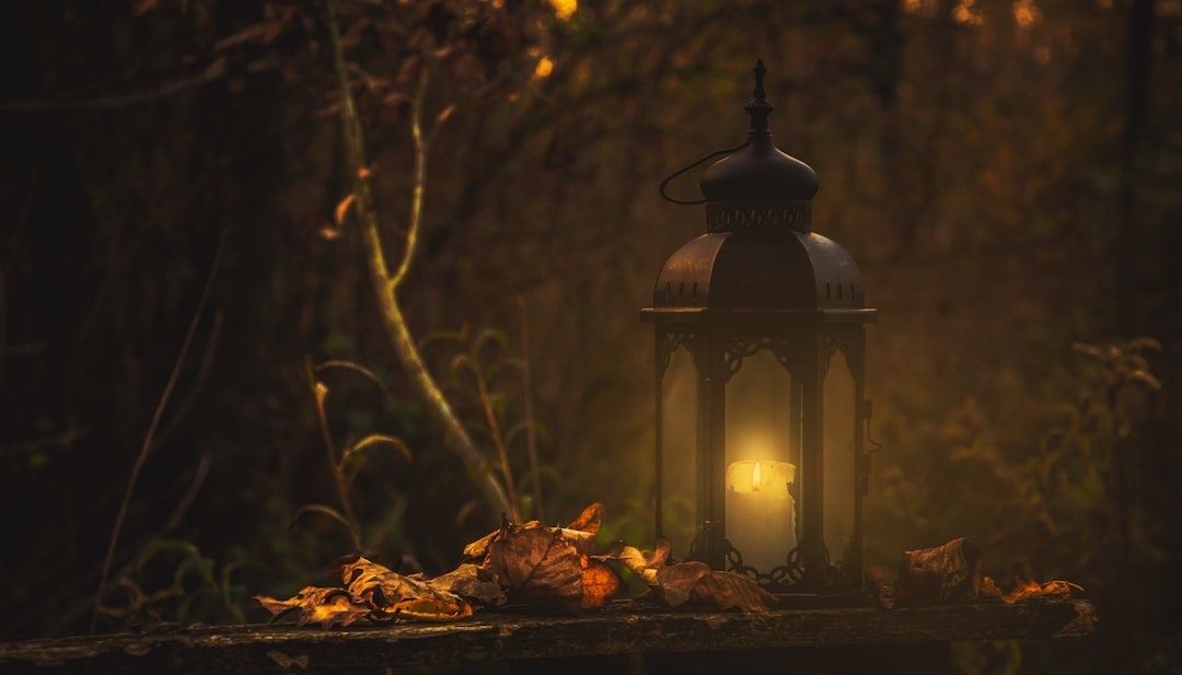 Leuchtende Laterne mit Kerze und Herbstlaub in einem dunklen Wald